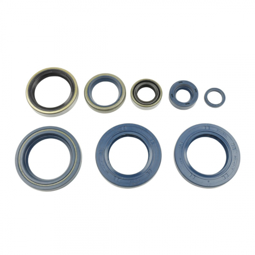 P400270400006 PARAOLI MOTORE KTM 660 SMC 03-07