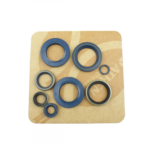 P400270400006 PARAOLI MOTORE KTM 660 SMC 03-07