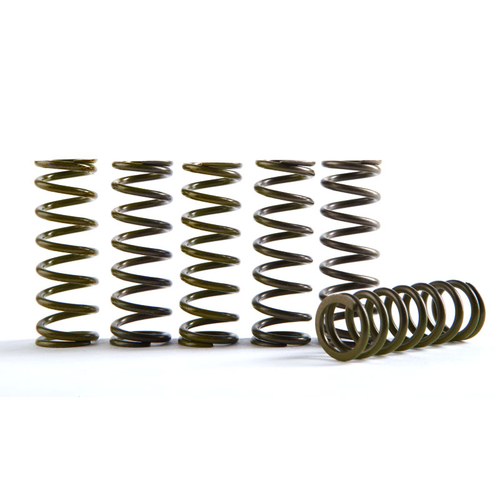 CS330-6-0509 MOLLE FRIZ.RINF.RMZ450 05> 6pz.