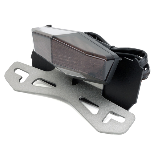 D45-18-509 PORTA TARGA EDG2 FUME CRF450L21-23