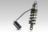 BM06+5AA MONO HYP 2 REG. BMW C 650 16-19