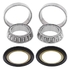 ALL BALLS - KIT CUSCINETTI STERZO