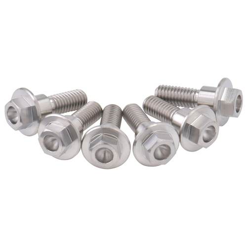 ZT31-0786 Gr5-Ti B-Disk FlangeBolt Set 8-M6 20mm 6pcs
