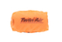 16000050 CUFFIA FILTRO G.P. KTM 50 SX 24>